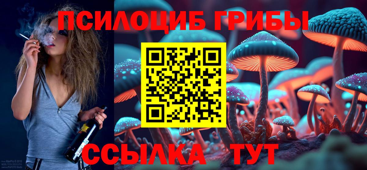 Новый Уренгой  Галлюциногенные грибы прущие грибы  Псилоцибиновые грибы Cubensis  Вход с VPN 